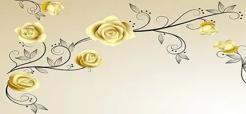 凯利字节